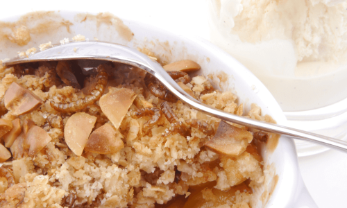 Fruchtgratin mit Mehlwurm-Crumble