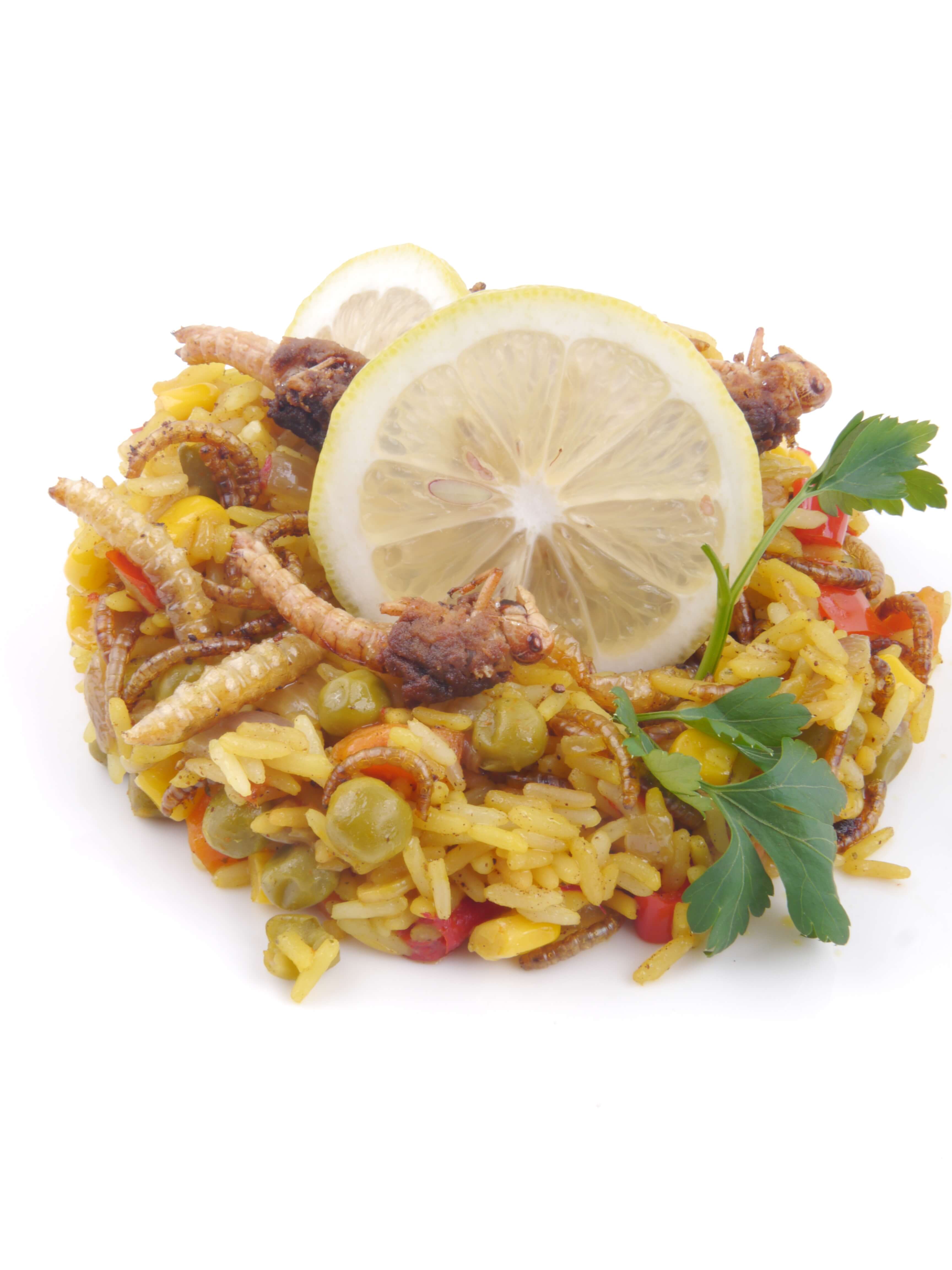 P1050076-Insektenpaella