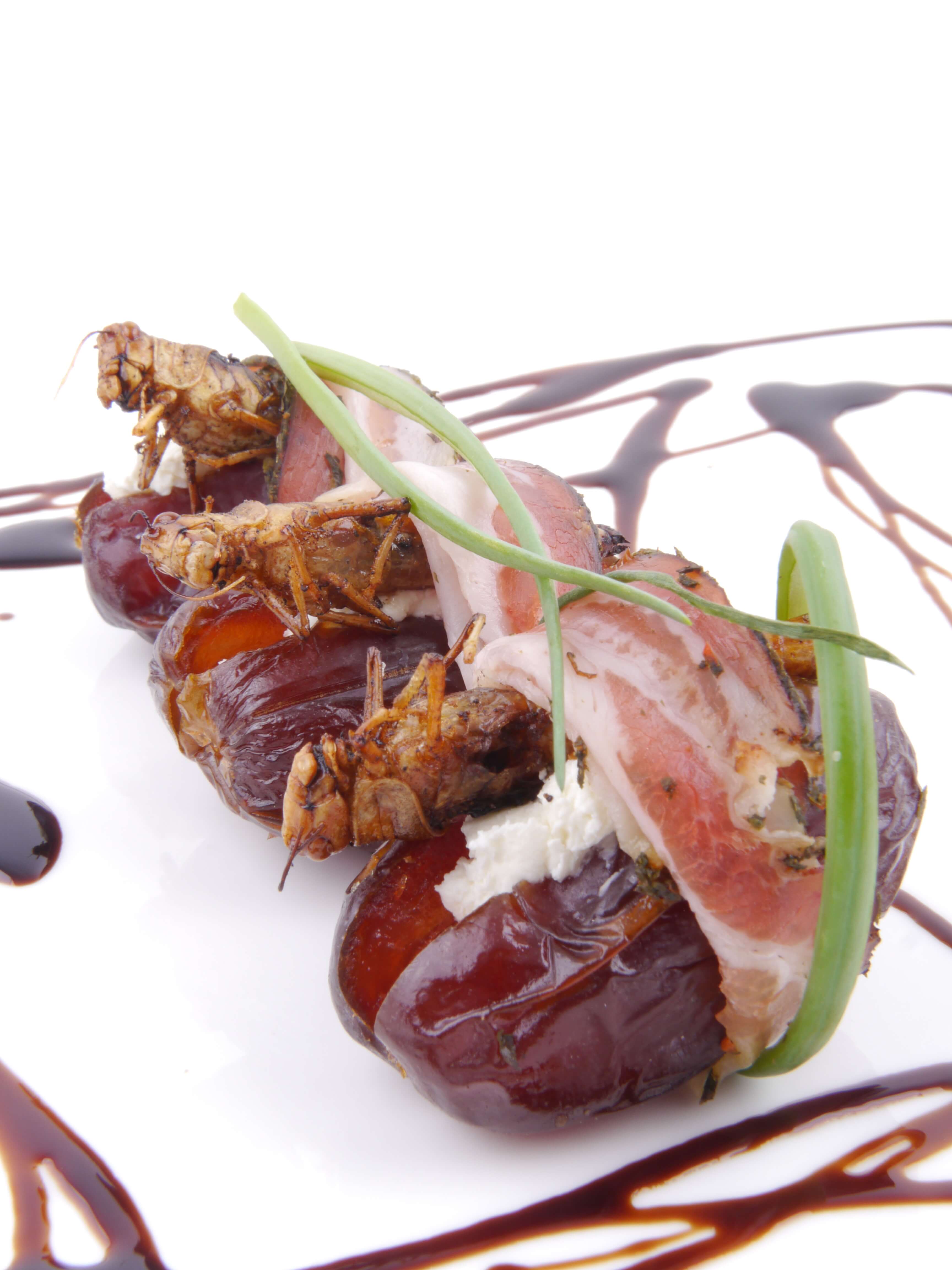 P1070269-Datteln-gef__llt-mit-Frischk_n__se-und-Heuschrecken-im-Speckmantel